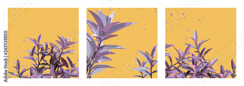 purple secretia background