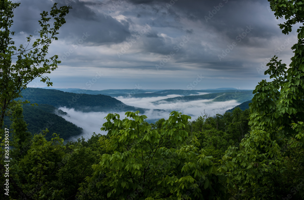 A misty and foggy morning from a vista overlooking the lush green Ozark mountains of Arkansas on an early summer morning. The fog settles into the forest valley as the overcast cloudy sky looms above