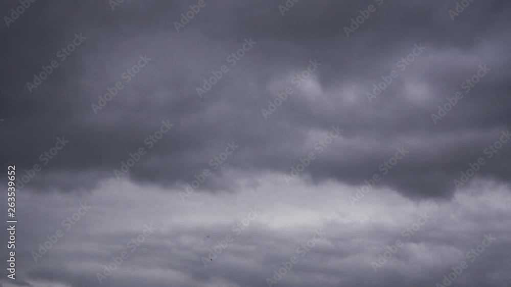 Epic thunder clouds and flying birds Epic thunder clouds and flying birds