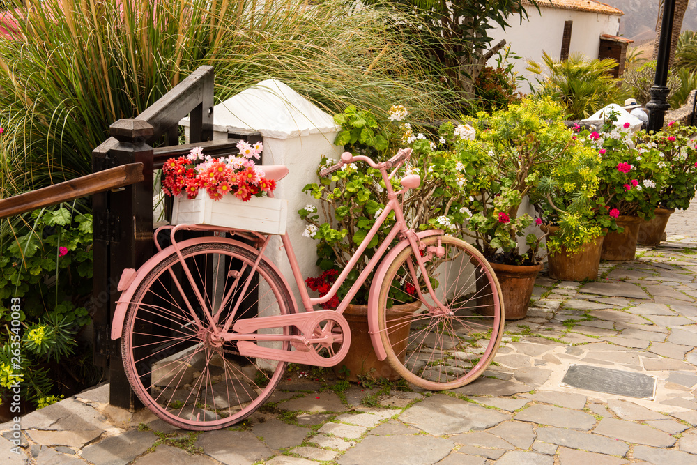 pink recycled upcyckled bicyckle made into a flower holder