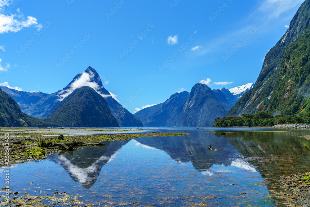 reflections of mountains in the water, milford sound, new zealand 16