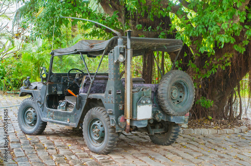 Military vehicle under a tree