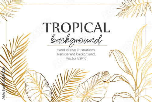 Background with tropical plants. Template of greeting card or invitation. Vector illustration