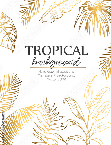 Background with tropical plants. Template of greeting card or invitation. Vector illustration
