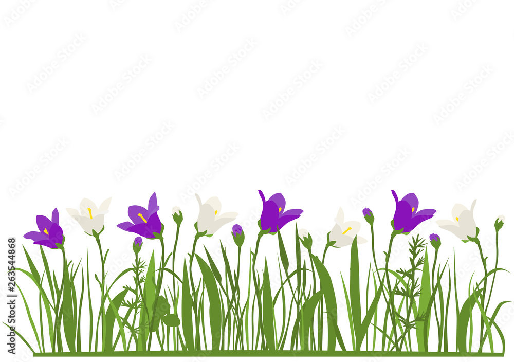 Fototapeta Spring and summer forest and garden flowers isolated on white vector set. Illustration of the nature of the flower and grass in spring and summer in the garden, blue and white bell