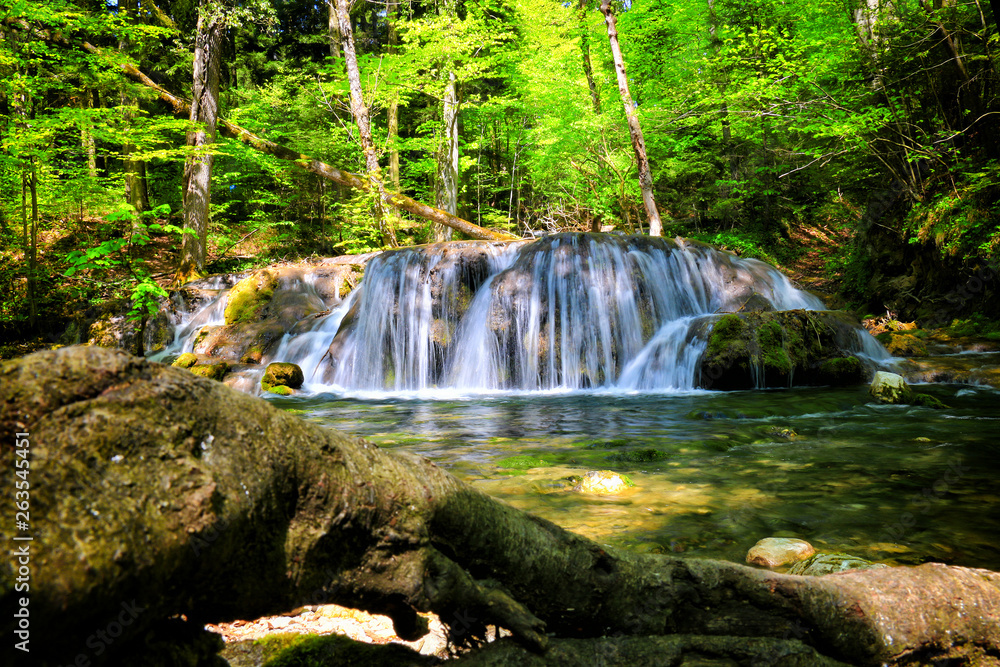 Fototapeta premium Mountain stream among the mossy stones