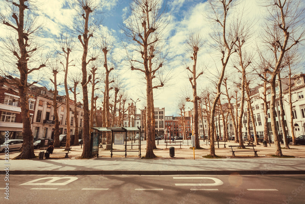 Old street with tall trees and park area in urban city