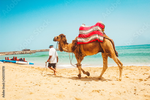 view of a man and his camel in a beach - Morocco © JK2507