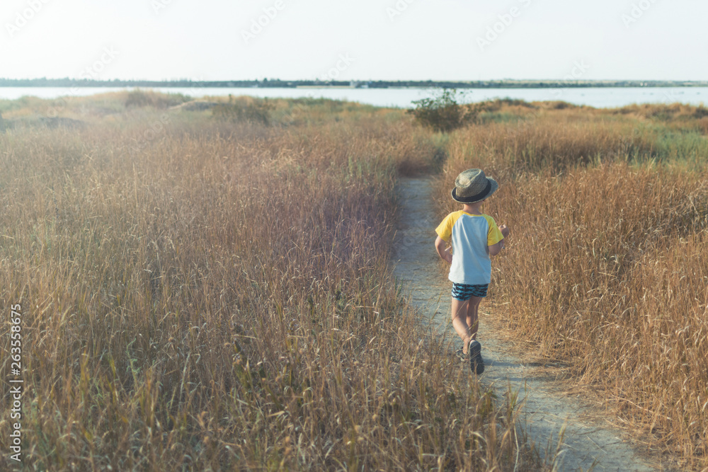 A little boy goes along the path in the summer.