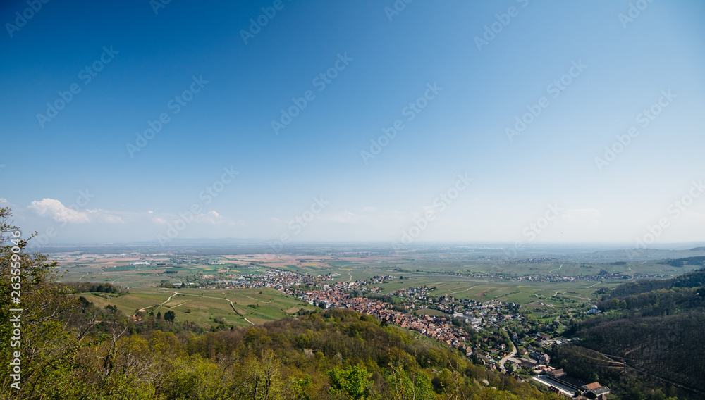 Aerial drone view over the colorfoul French city of Ribeauville in Alsace with tiny houses, churches, grape vineyards, and black forest in the background 
