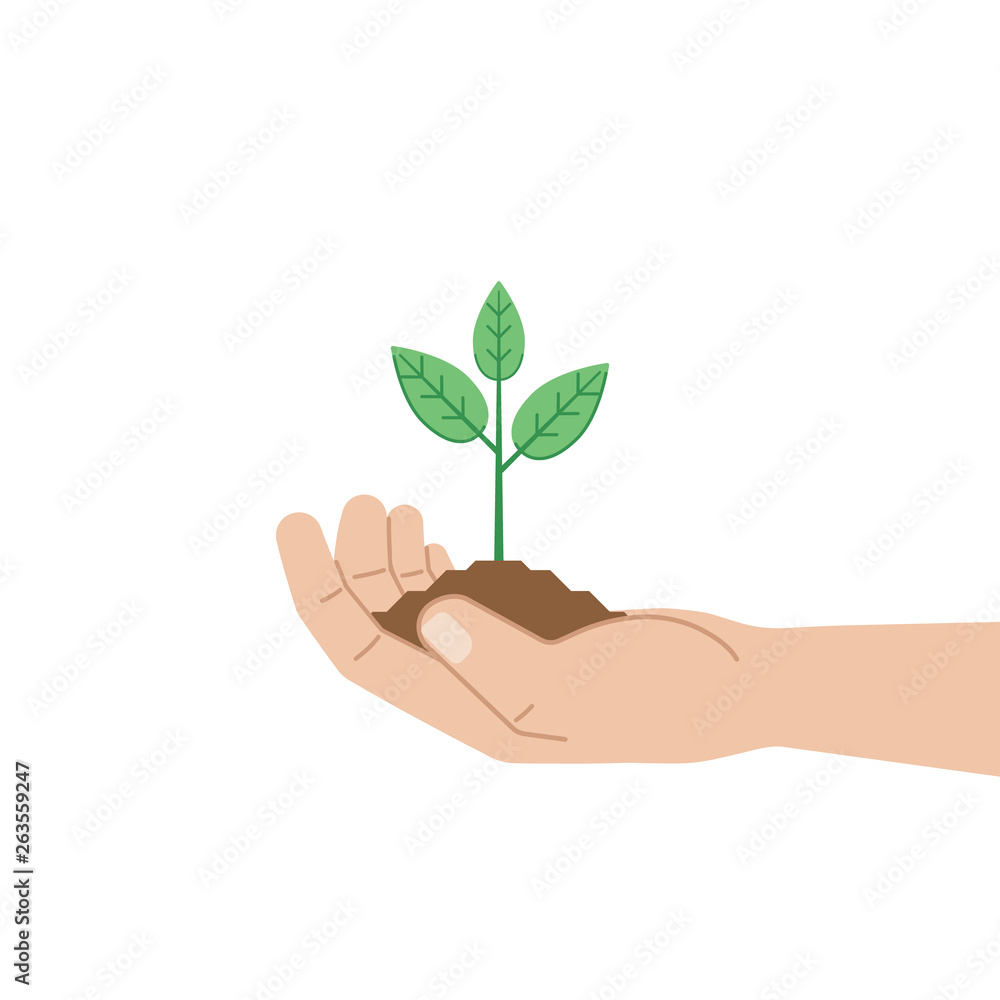 Green sprout in human hand on white background. Vector illustration Green sprout in human hand on white background. Vector illustration