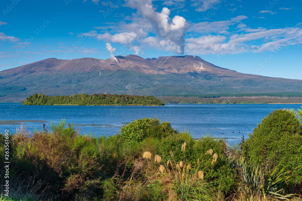 Mt Tongariro view across Lake Rotoaira