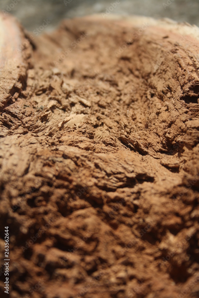 Close-up picture of rotten wood dust. Brown decayed log. Close-up picture of rotten wood dust. Brown decayed log.