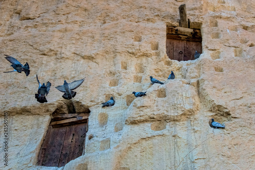Fotografie An ancient tradition, naturally cool stone carved warehouses along with many pig