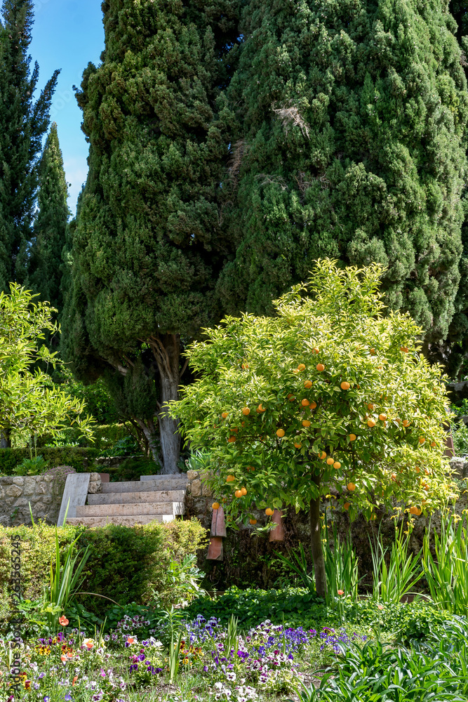 Jardin Nazari,Velez de Benaudalla,Granada,España.