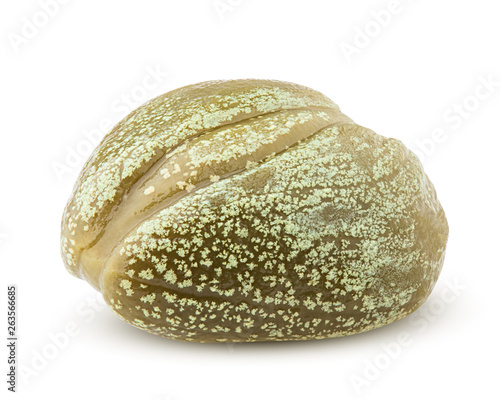 caper isolated on white background, clipping path, full depth of field