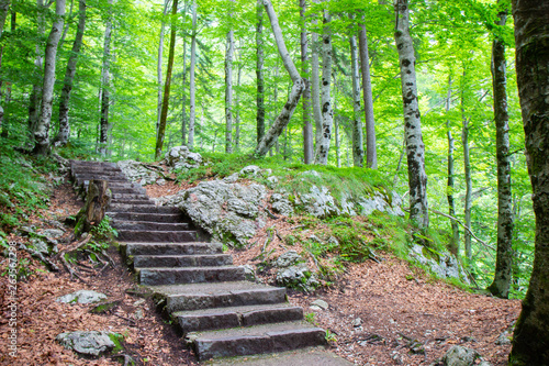 stone stairs in a forest in Triglav National Park, Julian Alps, Slovenia