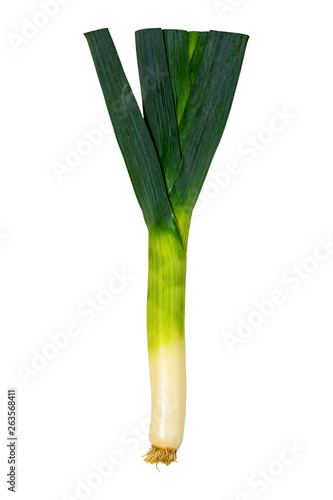 Leek Green Onion Isolated on white background. Selective focus.