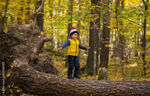 A little boy in a cap walks on a log © TheFarAwayKingdom