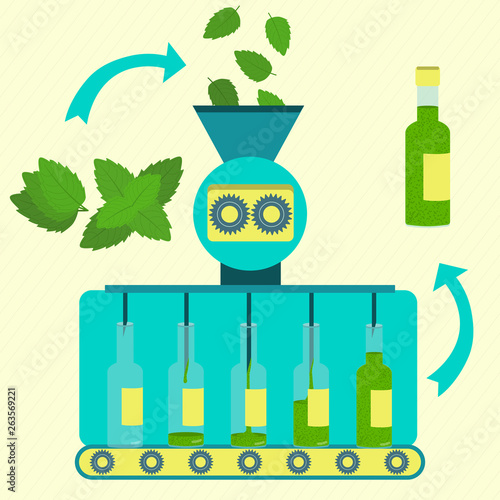 Mint sauce series production. Factory of mint sauce. Fresh mint being processed. Bottled spearmint sauce.