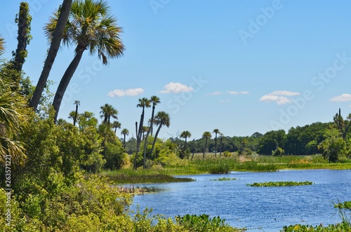 Lake and Forest View at Orlando Wetlands Florida