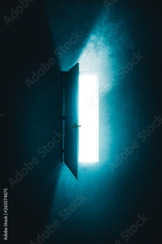 Quadro su tela open door in a dark room