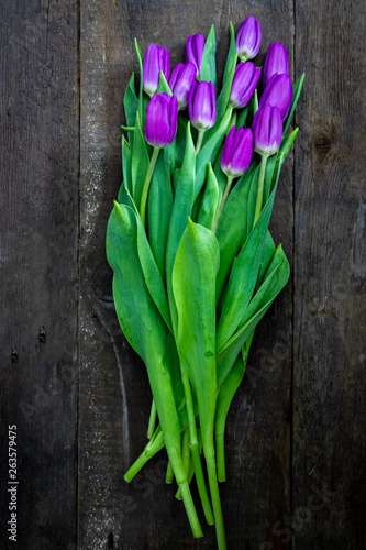 purple tulips on wooden background