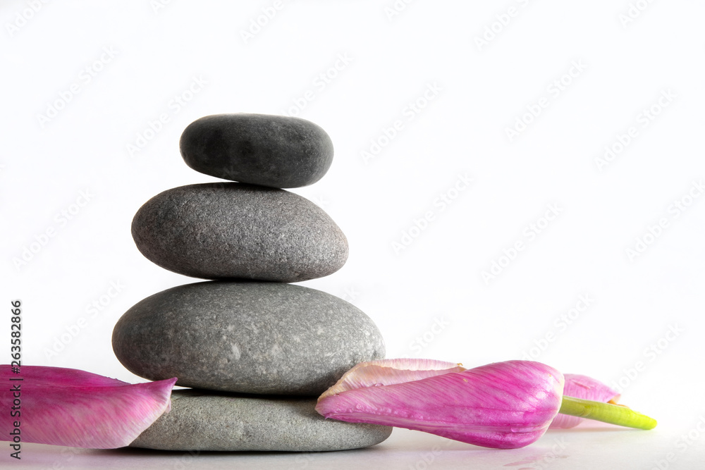 Spring meditation Spring meditation