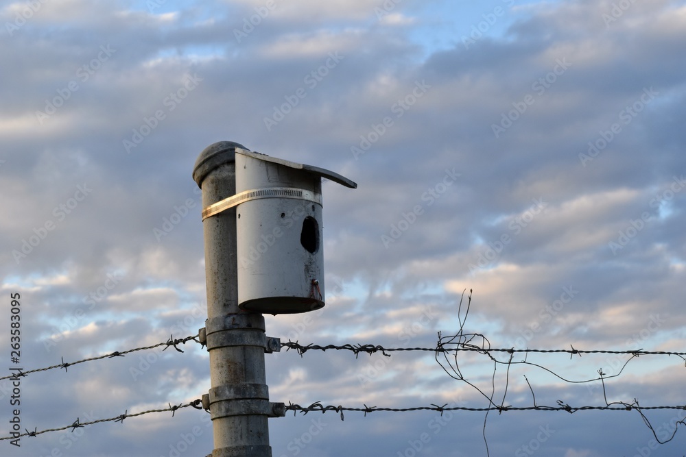 Obraz premium Metal birdhouse on a chainlink fence with barbed wire with a cloudy sky in the background, is very industrial and stark.