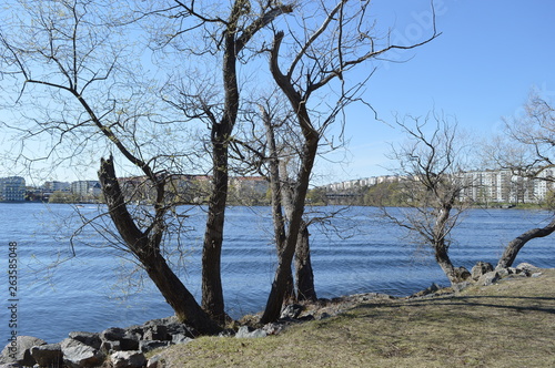 långholmen, stockholm, nature, trees, water, blue sky.