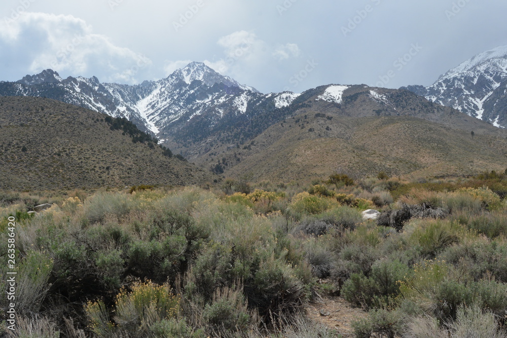 California Snowcap Mountains RAZ