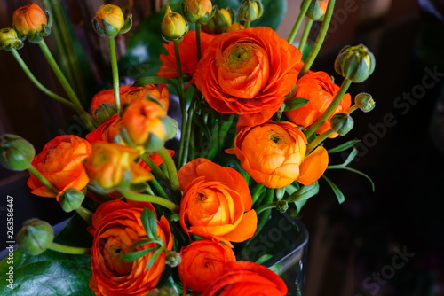 Bouquet of orange ranunculus flower in bloom in a clear vase