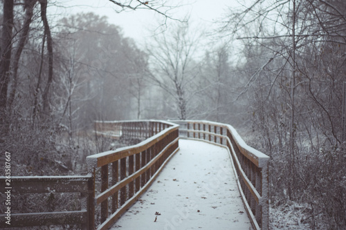 Fototapeta Naklejka Na Ścianę i Meble -  Snowy bridge in the forest