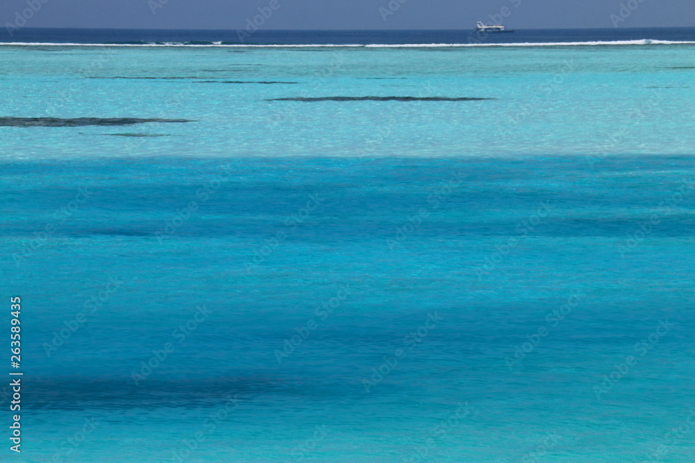 Fototapeta premium モルディブ 海抜ゼロの青の世界