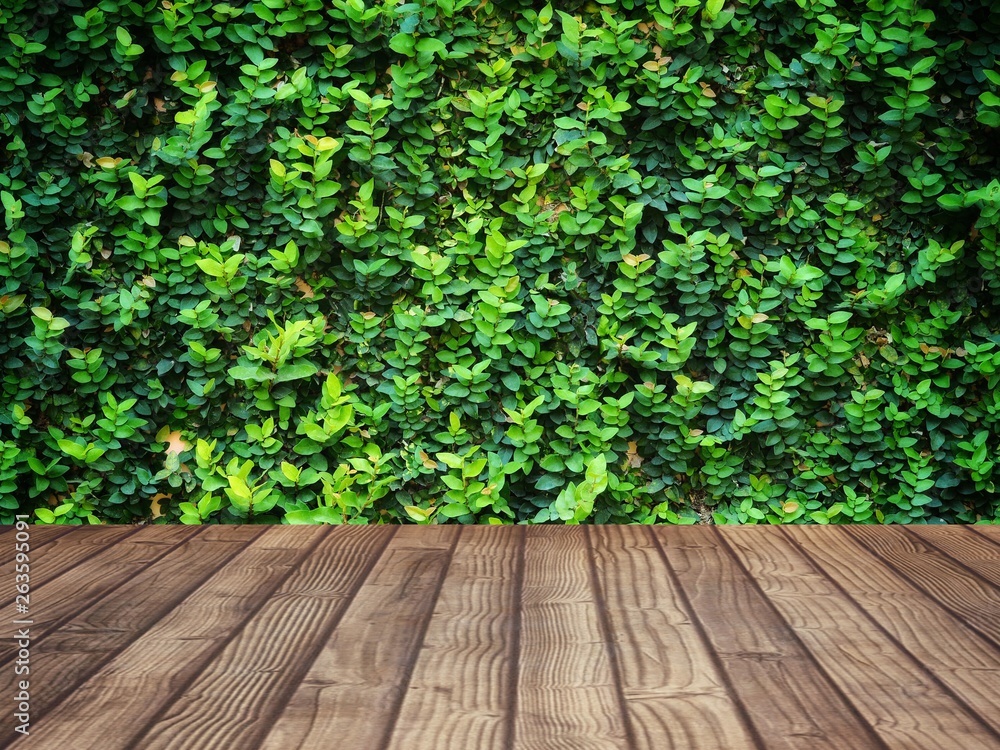 Products shelves and advertisements are wooden floors. The background is green from the nature of the tree (blurred image)