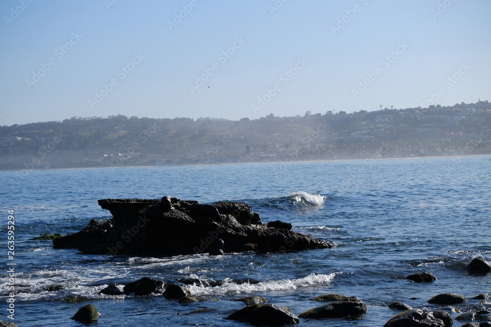 Seals Seals
