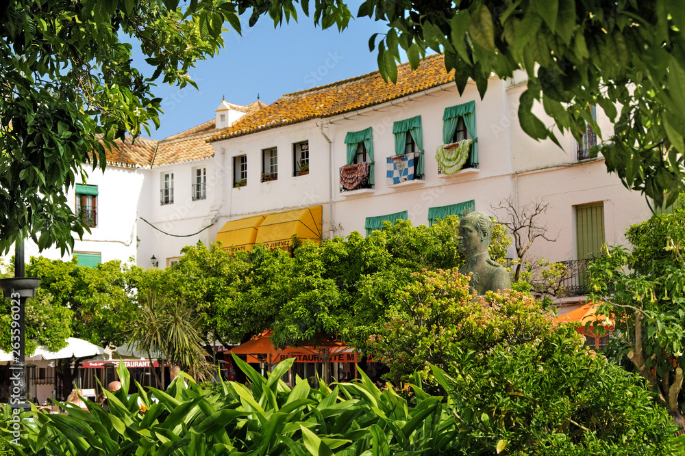 Fototapeta premium Orange Square with trees in old town 
