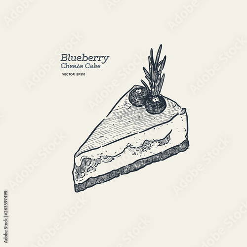 Blueberry cheese cake, hand draw sketch vector.