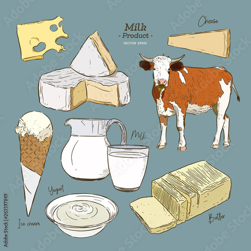 hand drawn vector sketch Dairy products set - Vector