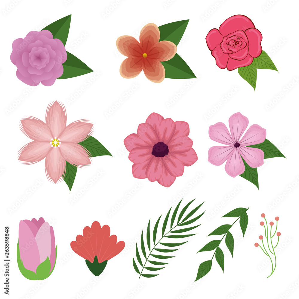 set exotic flowers plants with branches leaves set exotic flowers plants with branches leaves