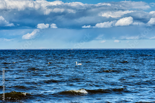 Peterhof  Saint Petersburg  Russia. View of the Gulf of Finland on a cloudy spring day from the palace and park ensemble with a blue sky