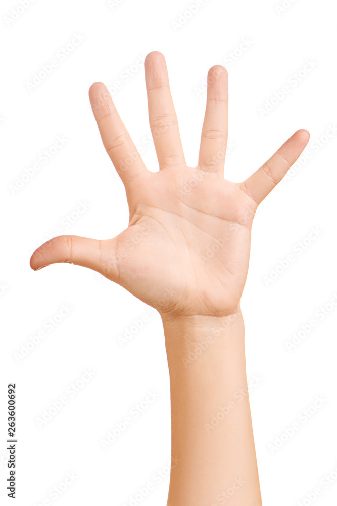 Female hand gestured. Female hand gestured.