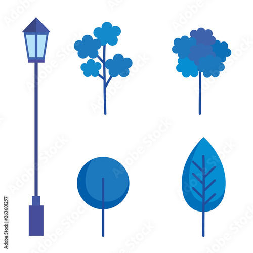 plants and lantern of park