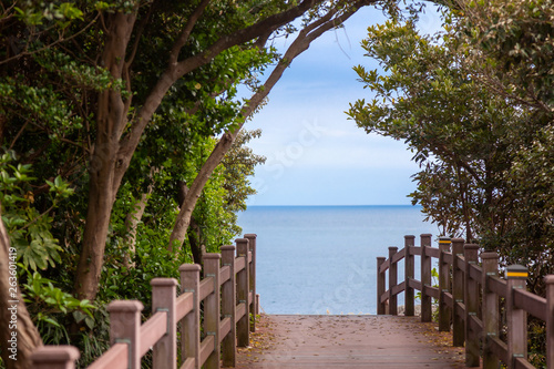 Footpath in a green park leading to the sea  Jeju Island  a travel to South Korea