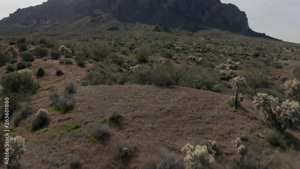 Aerial of Desert Landscape and Mountain Near Phoenix Arizona with Low Level Tilt Reveal Aerial of Desert Landscape and Mountain Near Phoenix Arizona with Low Level Tilt Reveal