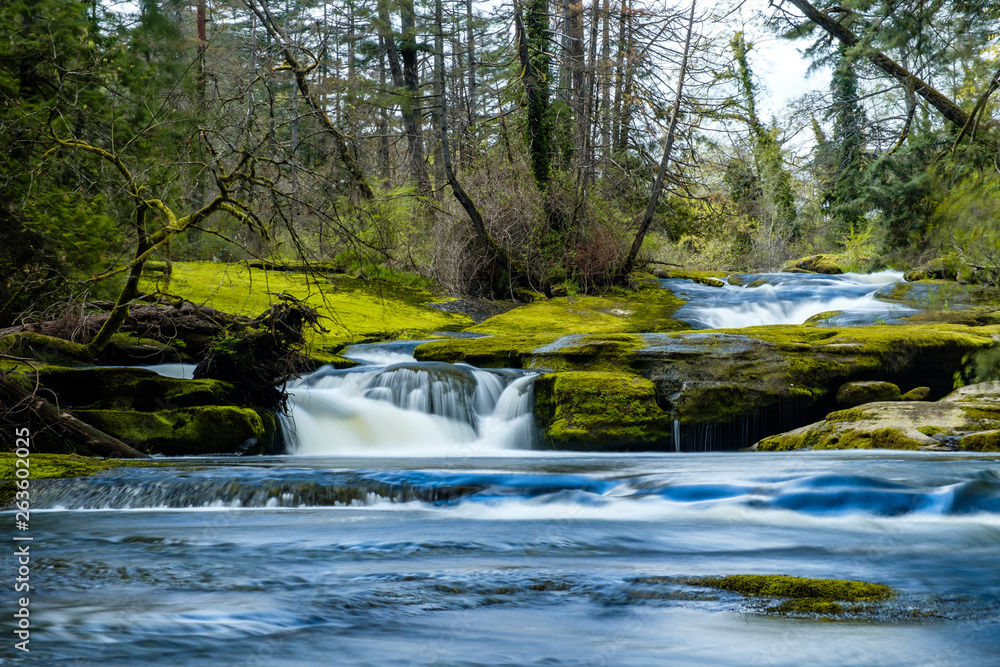 Fototapeta premium small beautiful waterfall inside forest in the park with moss covered rocks and green trees on the surrounding area.