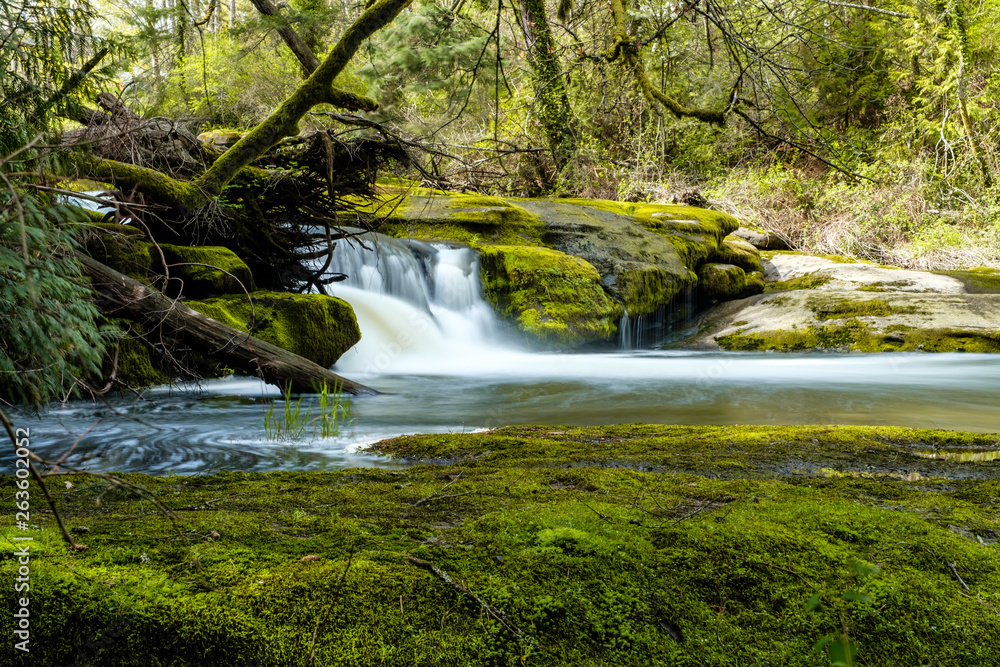Fototapeta premium beautiful waterfall besides green moss covered rocks inside forest