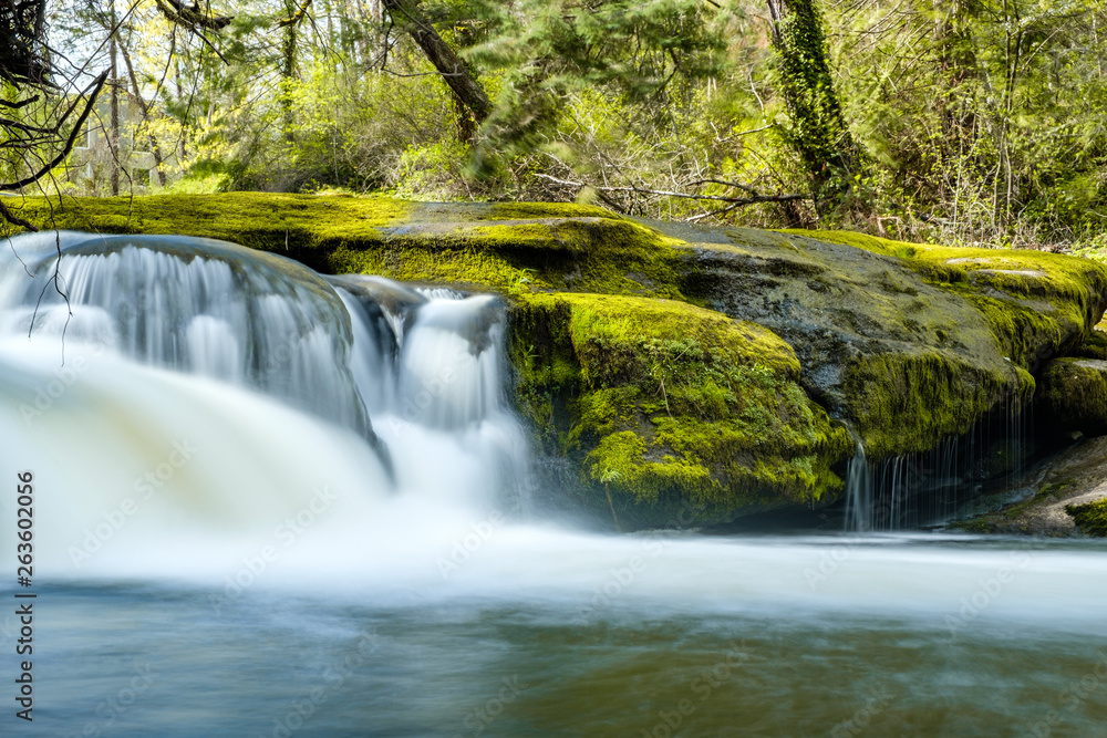 small beautiful waterfall inside forest in the park with moss covered rocks and green trees on the surrounding area. small beautiful waterfall inside forest in the park with moss covered rocks and green trees on the surrounding area.