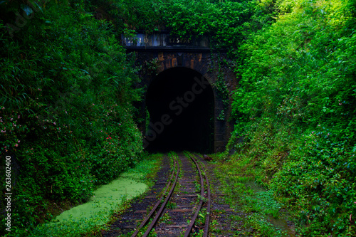 tunnel in the forest © Carlos