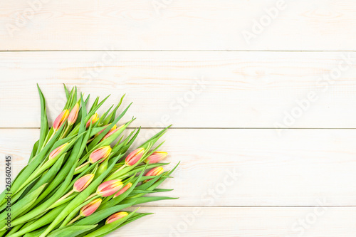 Tulips on wooden background. Top view. Backdrop with empty space for text